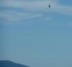 Istria Parachute